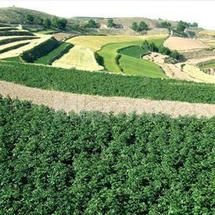 養(yǎng)殖污染將成為環(huán)保問(wèn)題的“引爆點(diǎn)”